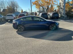 
										2021 Tesla MODEL 3 Standard Plus full									