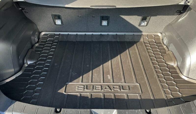 
								2023 Subaru Crosstrek Outdoor full									