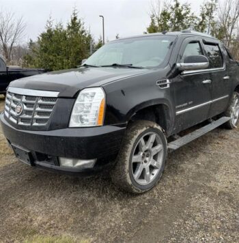 2013 Cadillac Escalade - Used SUV - VIN: 3GYT4MEFXDG352312 - Buckingham Chevrolet Buick GMC Gatineau