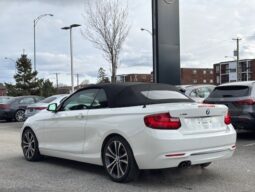 
										2015 BMW 228i XDrive Cabriolet full									