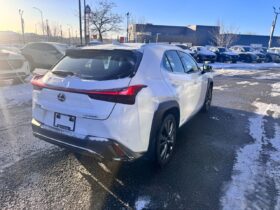 2020 Lexus UX 250h F-SPORT