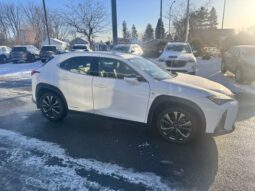 
										2020 Lexus UX 250h F-SPORT full									