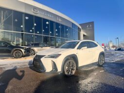 2020 Lexus UX 250h F-SPORT