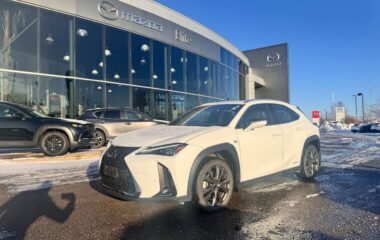 2020 Lexus UX 250h F-SPORT