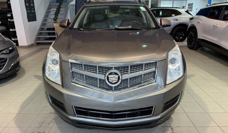 
								2011 Cadillac SRX Fwd V6 Luxury 1sb full									