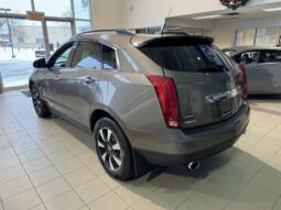 
										2011 Cadillac SRX Fwd V6 Luxury 1sb full									