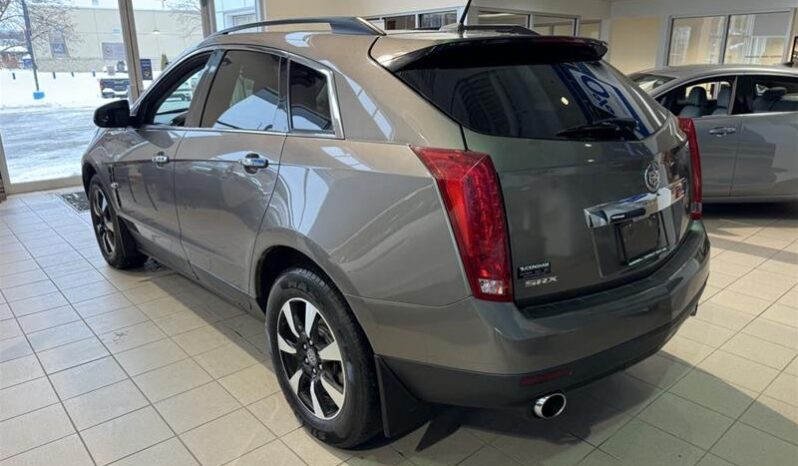 
								2011 Cadillac SRX Fwd V6 Luxury 1sb full									