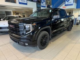 2024 GMC Sierra 1500 Crew Cab Standard