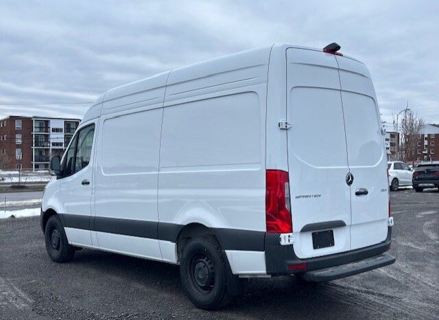 
								2025 Mercedes-Benz Sprinter Cargo Van 2500 Standard Roof I4 Diesel 144 full									