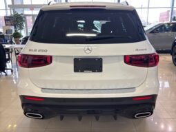 
										2025 Mercedes-Benz GLB250 4MATIC SUV full									