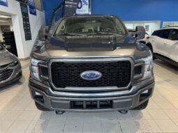 
										2019 Ford F-150 4×4 – Supercrew Xl full									