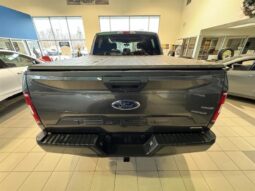 
										2019 Ford F-150 4×4 – Supercrew Xl full									