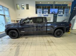 
										2025 GMC Sierra 1500 Crew Cab Standard full									