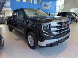 
										2025 GMC Sierra 1500 Crew Cab Standard full									