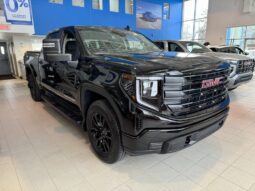 
										2025 GMC Sierra 1500 Crew Cab Standard full									