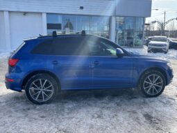 
										2016 Audi SQ5 quattro 4dr 3.0T Progressiv full									