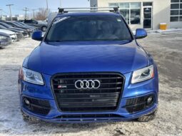 
										2016 Audi SQ5 quattro 4dr 3.0T Progressiv full									