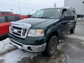 2007 Ford F-150 Xlt Awd