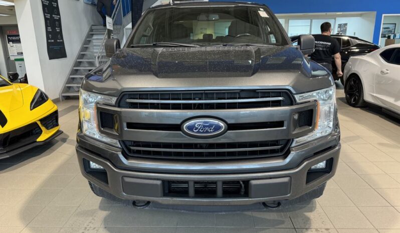 
								2018 Ford F-150 4×4 – Supercrew Xlt full									