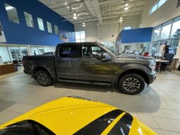 
										2018 Ford F-150 4×4 – Supercrew Xlt full									