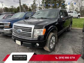 2009 Ford F-150 Platinum Supercrew