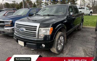 2009 Ford F-150 Platinum Supercrew