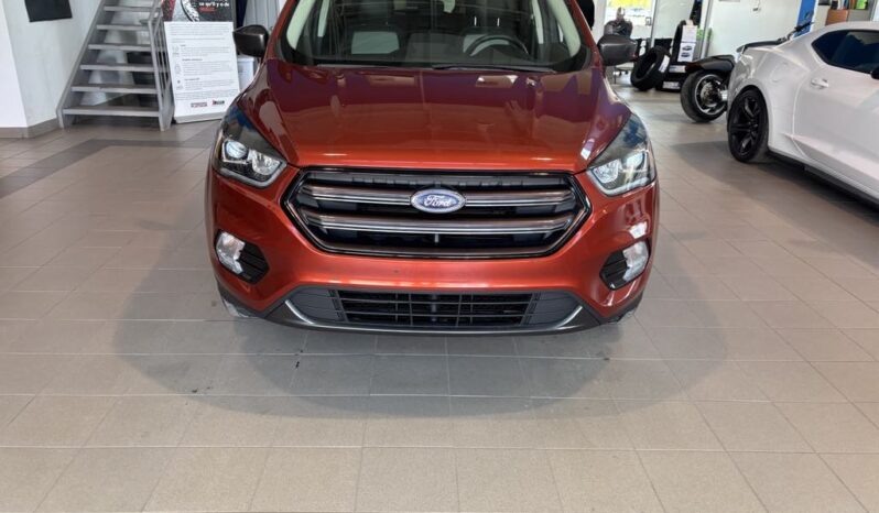 
								2019 Ford Escape Sel – 4wd full									