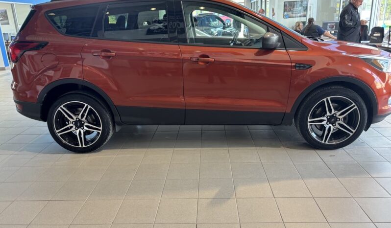 
								2019 Ford Escape Sel – 4wd full									