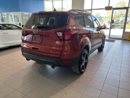 
										2019 Ford Escape Sel – 4wd full									