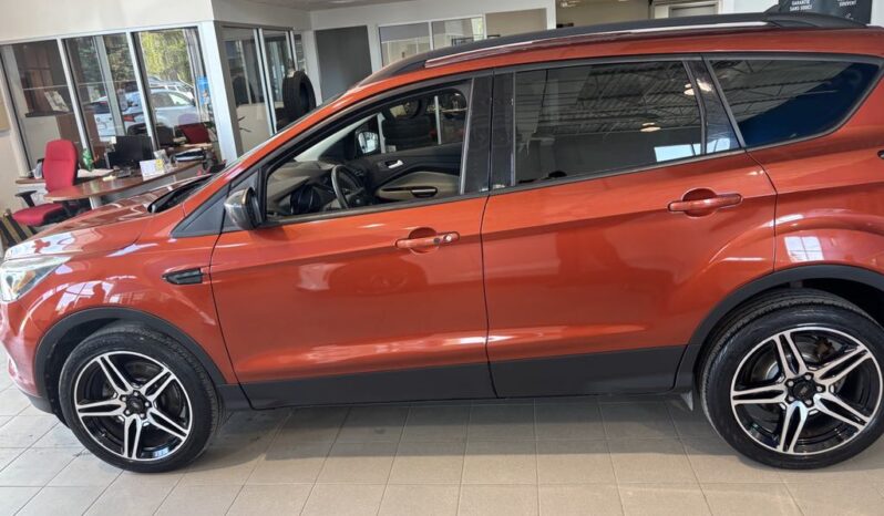 
								2019 Ford Escape Sel – 4wd full									