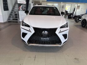 2020 Lexus NX 300