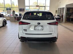 
										2020 Lexus NX 300 full									
