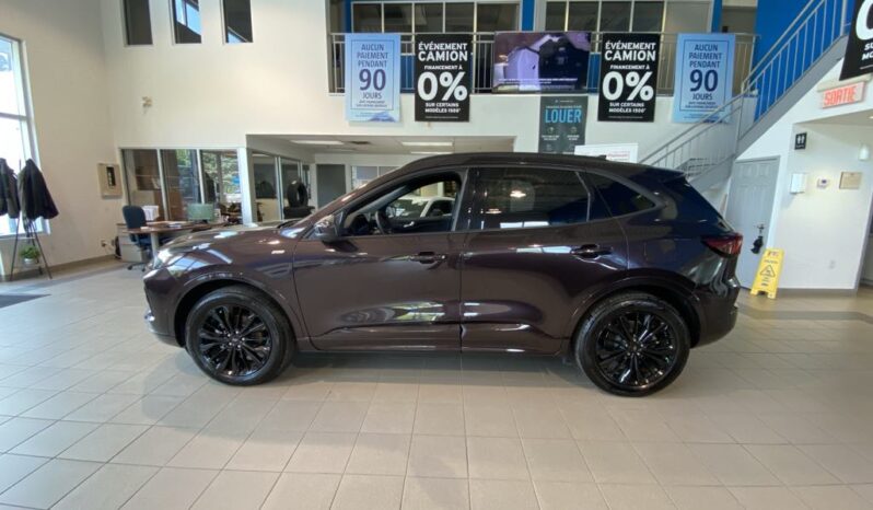 
								2023 Ford Escape St-Line Awd full									
