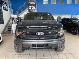 
										2024 Ford F-150 Xlt 4wd Supercrew full									