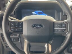 
										2024 Ford F-150 Xlt 4wd Supercrew full									