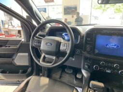 
										2024 Ford F-150 Xlt 4wd Supercrew full									