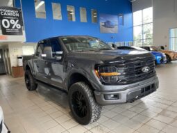 
										2024 Ford F-150 Xlt 4wd Supercrew full									