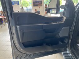 
										2024 Ford F-150 Xlt 4wd Supercrew full									