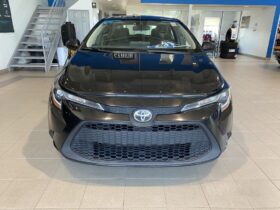 2021 Toyota Corolla Le Cvt