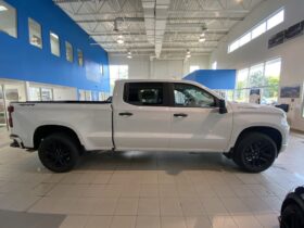 2025 Chevrolet Silverado 1500 Crew Cab Standard
