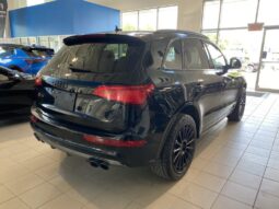 
										2016 Audi SQ5 3.0t Technik Quattro full									