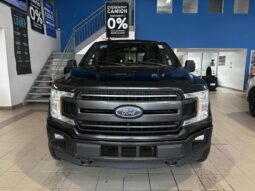 
										2019 Ford F-150 4×4 – Supercrew Xlt full									