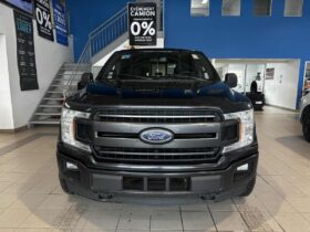 2019 Ford F-150 4×4 – Supercrew Xlt