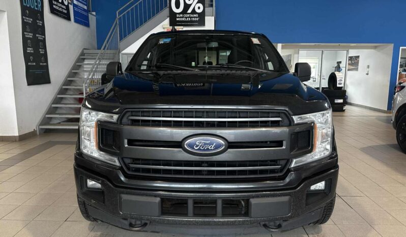 
								2019 Ford F-150 4×4 – Supercrew Xlt full									