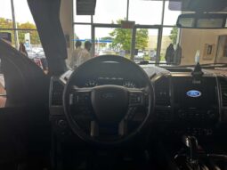 
										2019 Ford F-150 4×4 – Supercrew Xlt full									