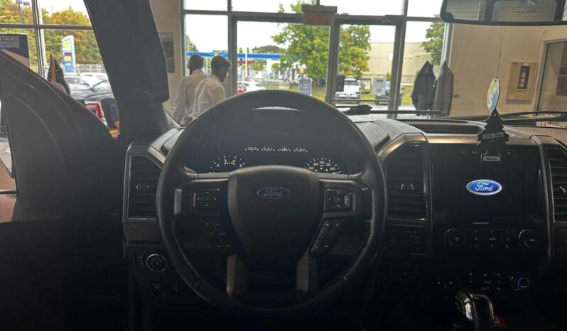 
								2019 Ford F-150 4×4 – Supercrew Xlt full									