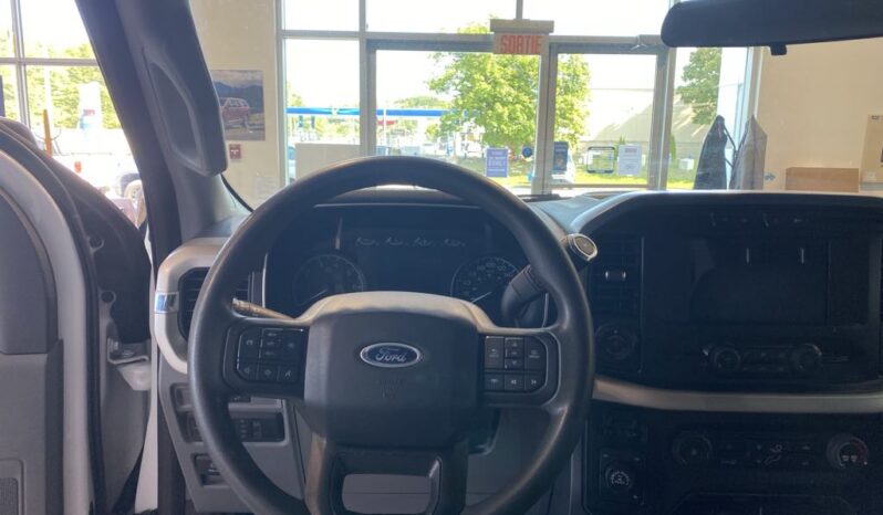 
								2023 Ford F-150 4×4 – Supercrew Xlt full									