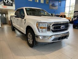 
										2023 Ford F-150 4×4 – Supercrew Xlt full									