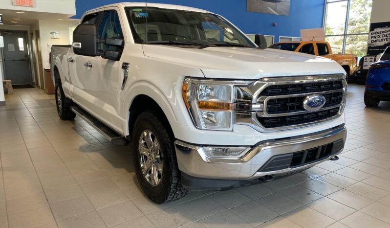 
								2023 Ford F-150 4×4 – Supercrew Xlt full									
