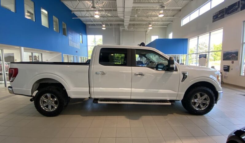 
								2023 Ford F-150 4×4 – Supercrew Xlt full									